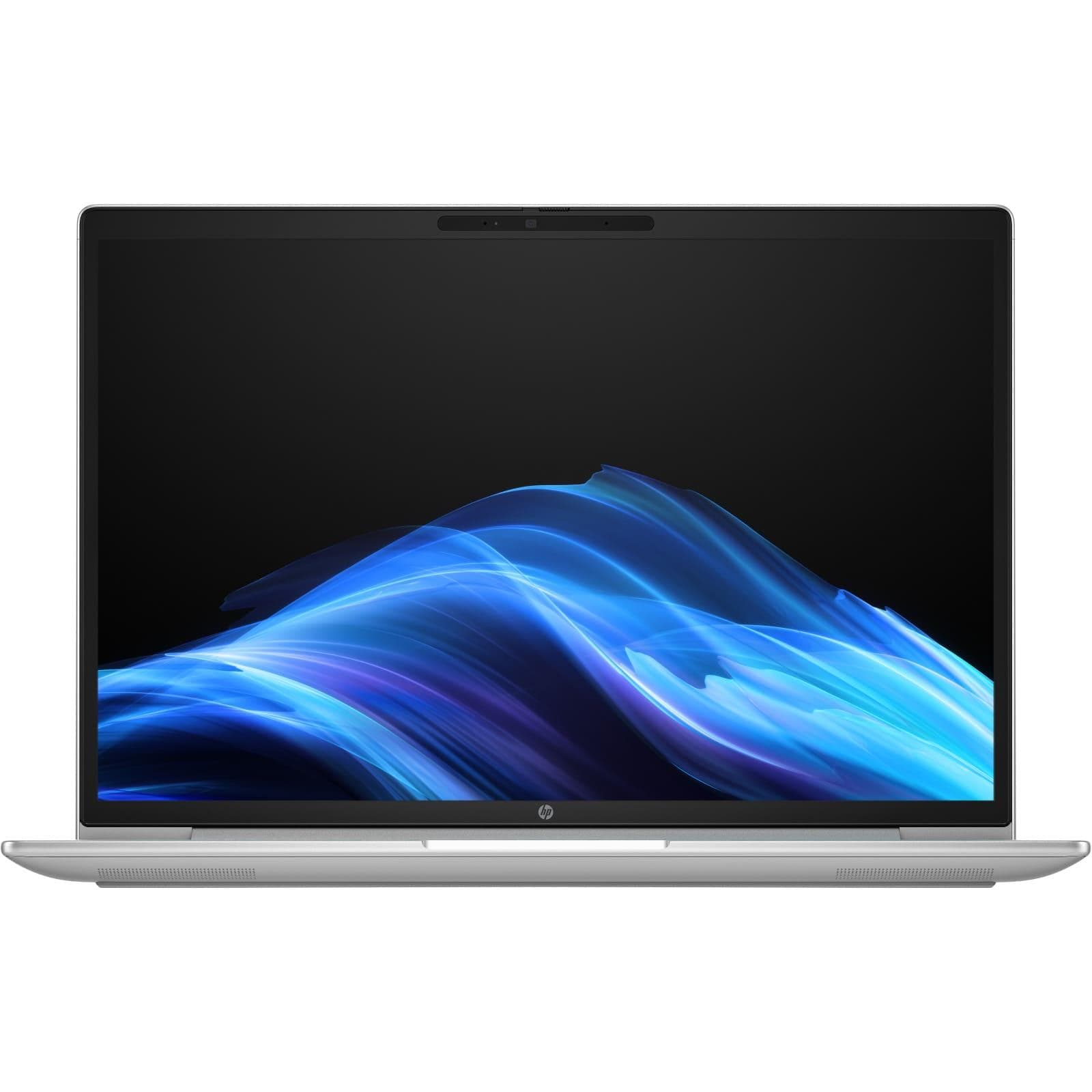 Ноутбук 14 HP ProBook 4 G1a 14 IPS/Ryzen 5 230/24GB/1TB/UMA/DOS/Silver