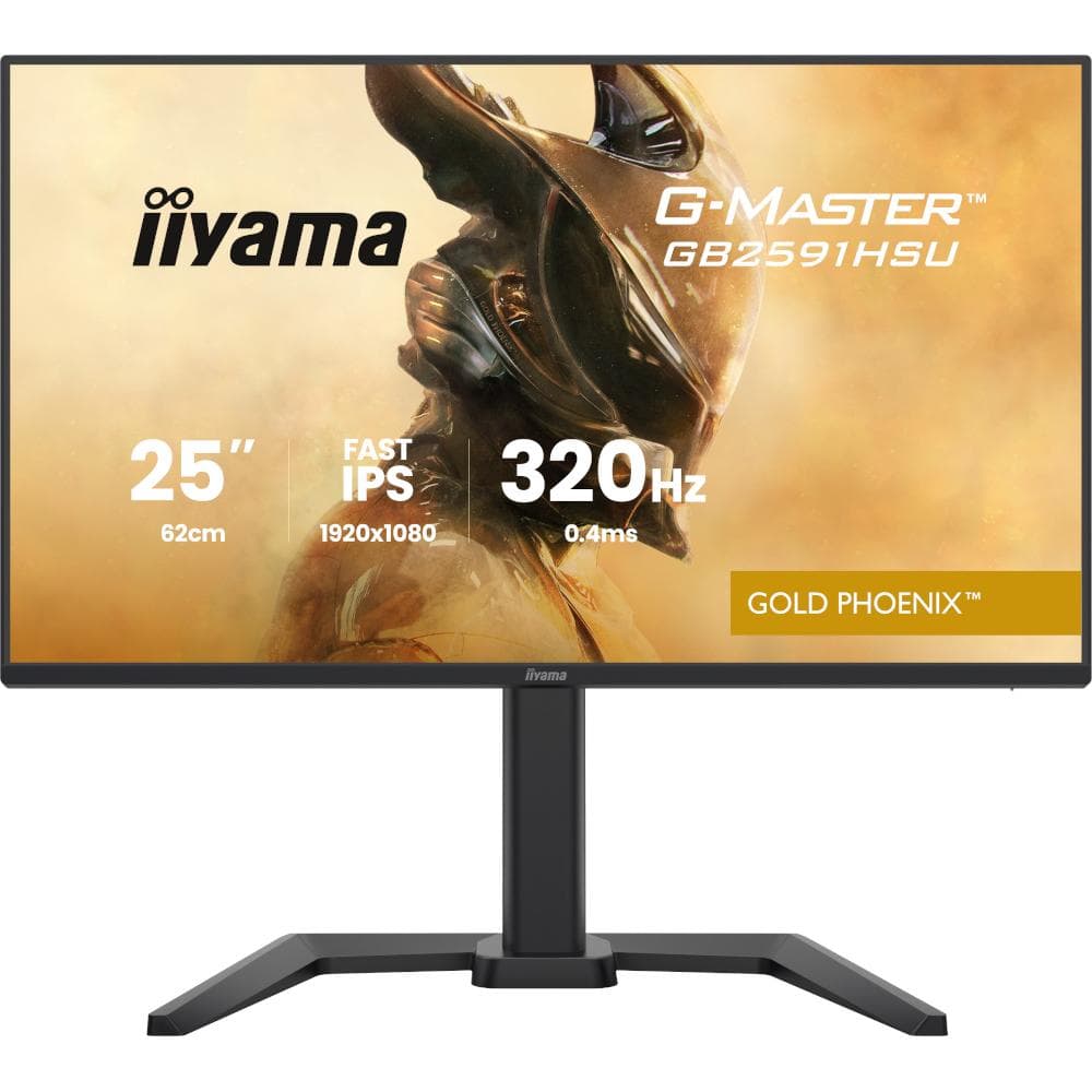 Монітор 24.5" Iiyama GB2591HSU-B1 FHD IPS 320Hz